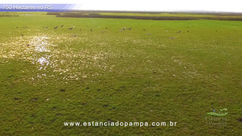 Os Tiranos - Bailando o chamamé [VDownloader].00_03_34_17.Quadro021_7048fabc3bdfa2352d16c4bd9c30eec6b424c651.jpg